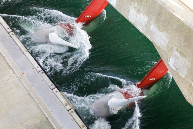 Tidal Energy