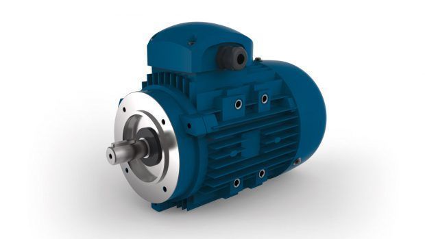 Standard motor